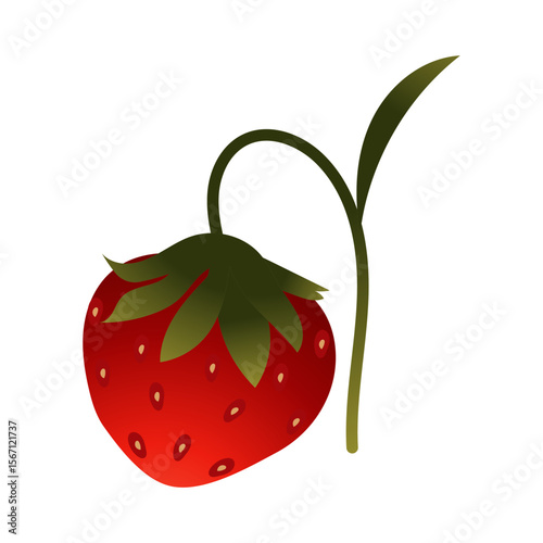Strawberry. Ripe red berry close-up. Vector illustration isolated on white background.