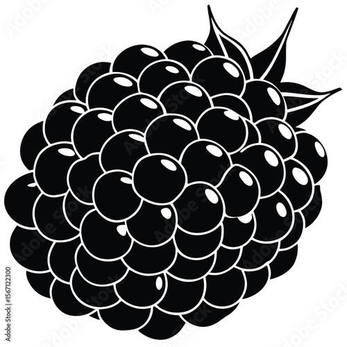 Monochrome Blackberry Delight A Detailed Vector Illustration of a Luscious Berry Ready to be Picked and Enjoyed