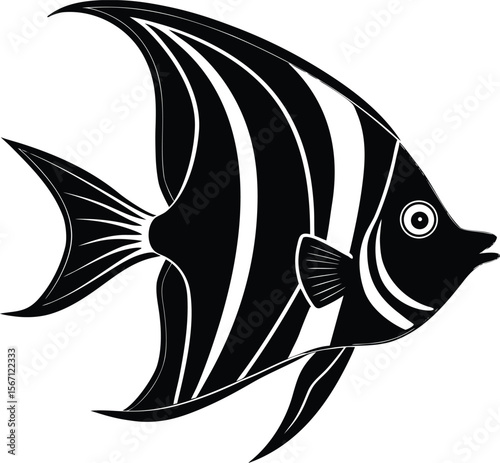 angelfish on white background.eps