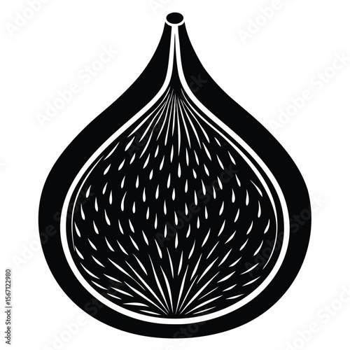 A Striking Monochrome Rendition of a Fig Fruit, Revealing the Intricate Seed Structure and Natural Elegance of the Fruit's Anatomy