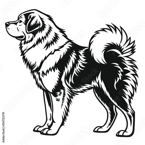 Majestic Tibetan Mastiff Illustration Full Body Profile in Black and White Vector Detailed Artwork of a Beloved Pet