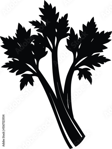 celery on white background.eps