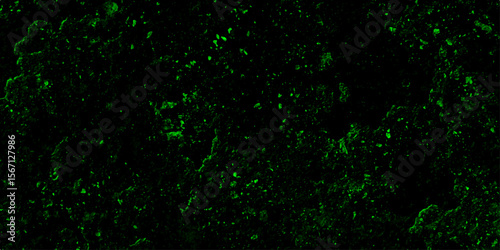 Distressed green grunge texture on a dark background. Smoke misty fog, realistic fog vector illustration. Dust distress grainy grungy effect and distressed backdrop. Green dust particle splash