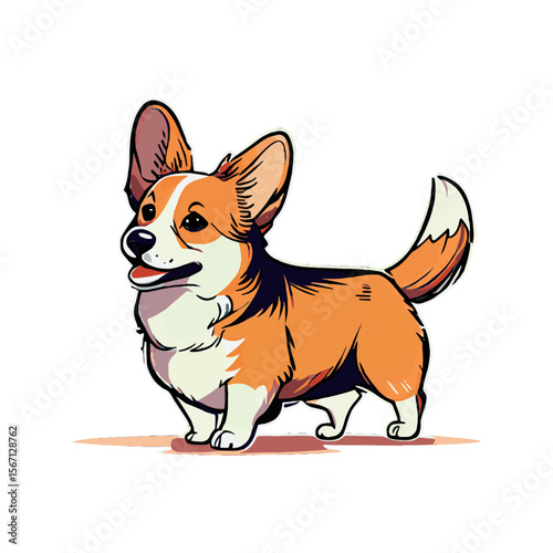 Realistic dog breed Corgi, on a white background - Vector illustration