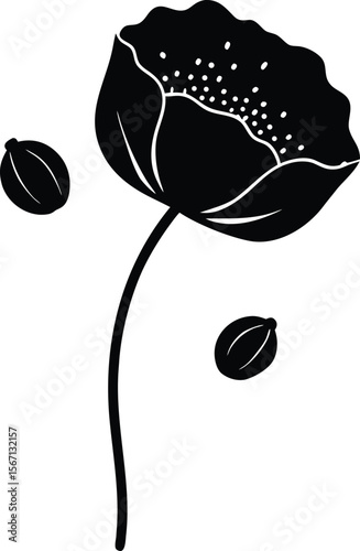 poppy seed on white background.eps