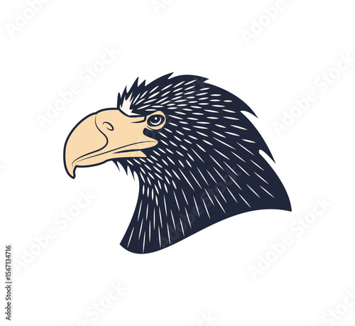 Detailed Line Art Illustration of an Eagle's Head
