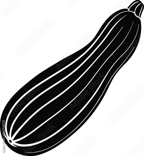 zucchini on white background.eps