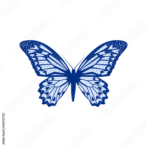 A delicately patterned butterfly gracefully floats, a splendid choice for logo design, creative backgrounds, and springtime themed designs.