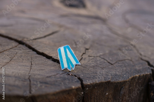 Escarapela de argentina