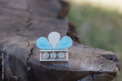 Escarapela Argentina