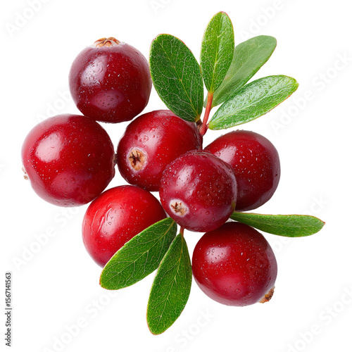 Vibrant red cranberries arranged with fresh green leaves. This image captures the beauty of fresh fruit