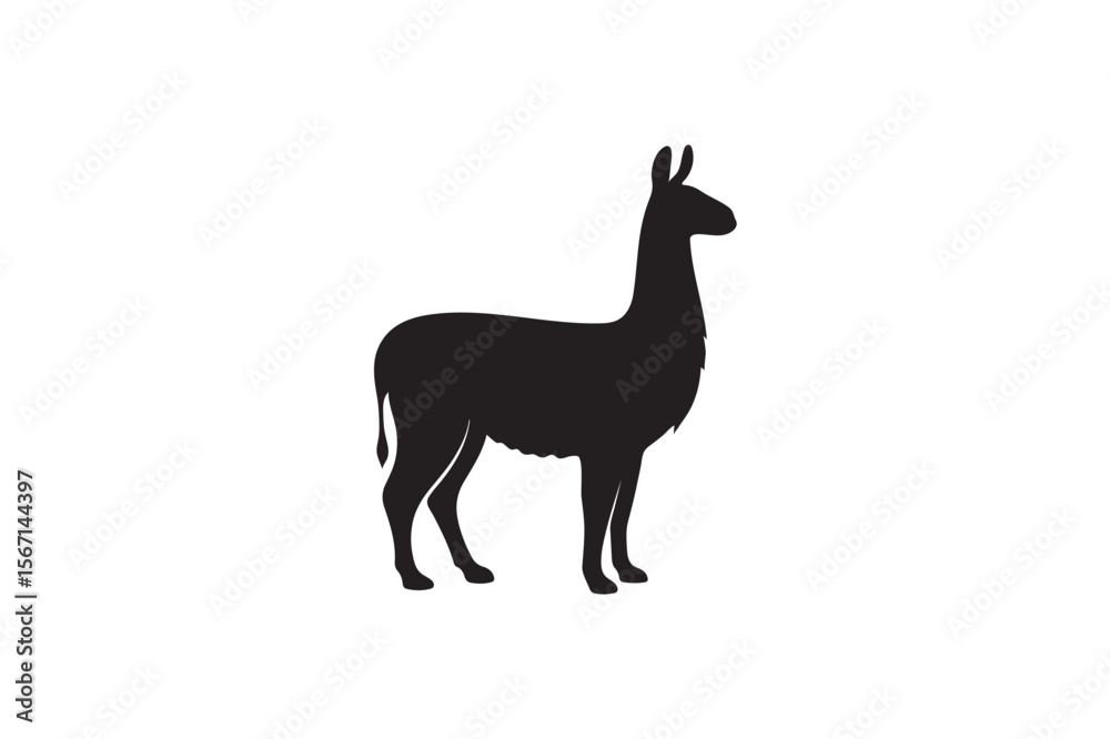 Fototapeta premium Llama silhouette.