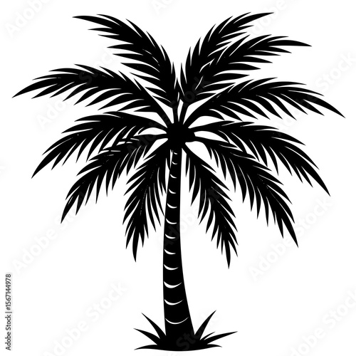 Stylized black silhouette of a palm tree with lush fronds and a textured trunk isolated on white background