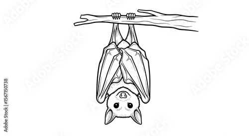 Bat hanging upside down on a branch, calm demeanor, black and white illustration, wildlife scene
