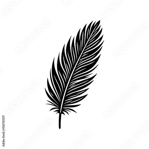 Black and white illustration of a single feather with detailed texture and a simple stem.