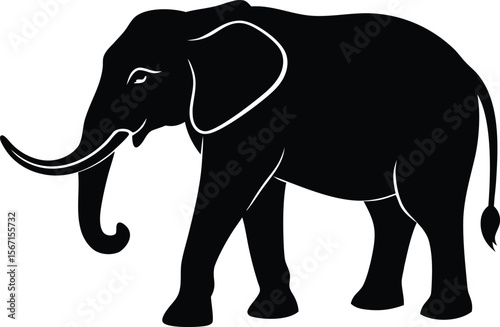 elephant vector illustration