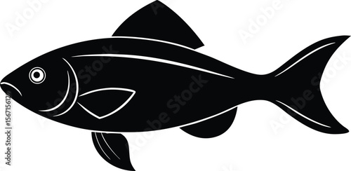tuna fish vector illustration