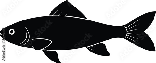 tuna fish vector icon