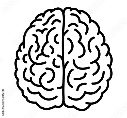 Simple line icon of human brain divided into two hemispheres. Clipart image isolated on background.