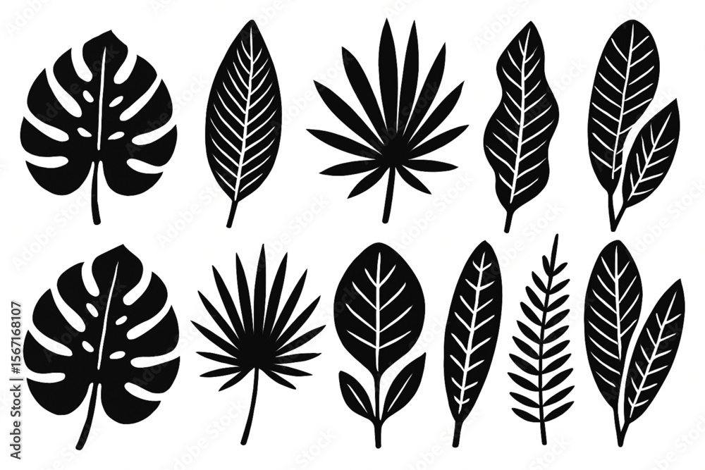 Fototapeta premium Black and White Tropical Leaves Vector Set – Monstera, Palm, Exotic Plants Illustration Collection