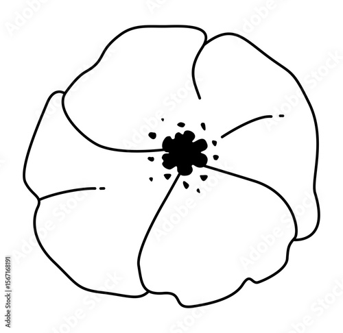 Simple line drawing of poppy flower in black and white. Clipart image isolated on background.