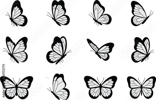 Graceful butterflies in monochrome, a classic theme suitable for decorative purposes and creative designs with flying insects.