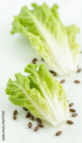 close up of lettuce seeds scattered evenly over a smooth white background, using soft focus edges for depth.