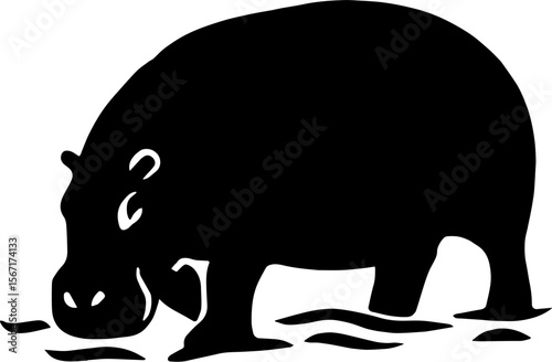 hippo vector illustration, isolated on white