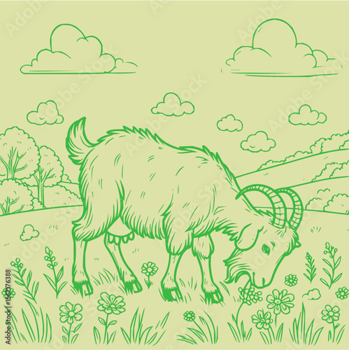Animal Vector Collection