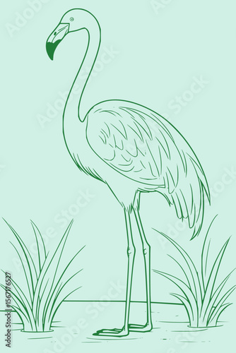 Animal Vector Collection