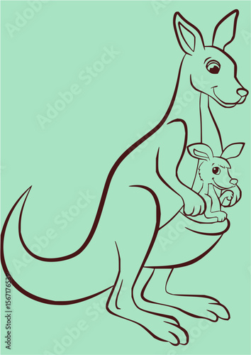 Animal Vector Collection