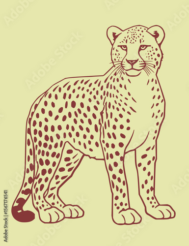 Animal Vector Collection