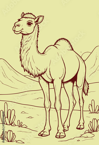 Animal Vector Collection