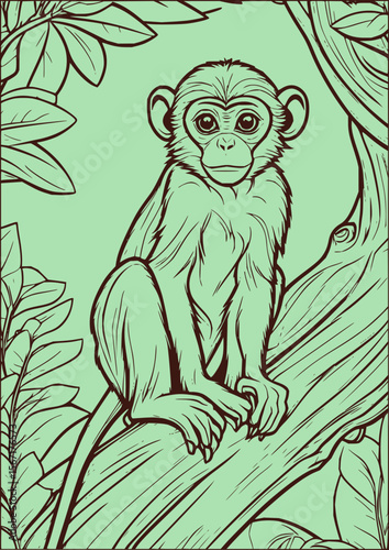 Animal Vector Collection