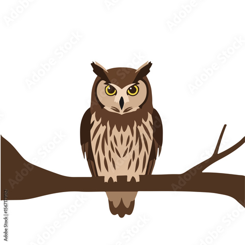 Brown owl perched on a branch against a white background  
