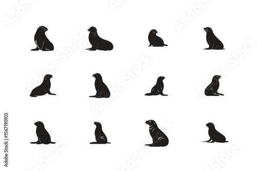Seal Silhouettes Vector Set of Active Poses in Black Illustration