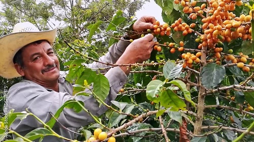 Portrait of an elderly Latino coffee picker.