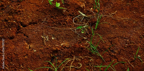 long background, This texture highlights the impact of climate change on land and ecosystems.