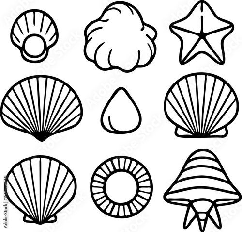 vector line art illustration set of sea shells, isolated on white
