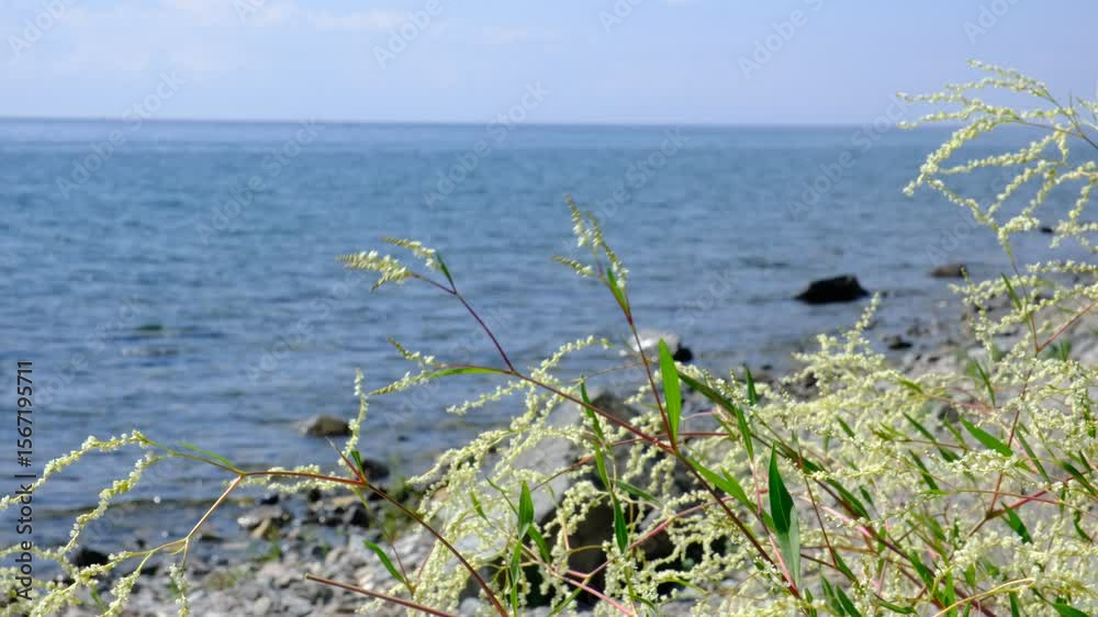 Calm sea, tranquil ethereal view. Stone stage, flowers. Empty template for text. Harmony, relax, meditating, mental health concept. Dreamy scenery. Water splash. Pure water with reflections sunlight