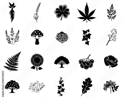 Black silhouettes of various plants and flowers for wiccan symbols, pagan symbols, celtic symbols  