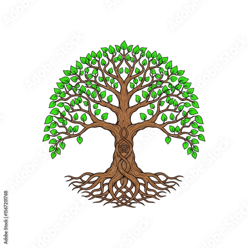 Tree of life illustration with green leaves and intertwined roots, concept of wiccan symbols, pagan symbols, celtic symbols  