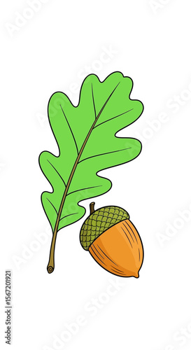 Oak leaf and acorn illustration in bright colors for nature theme  