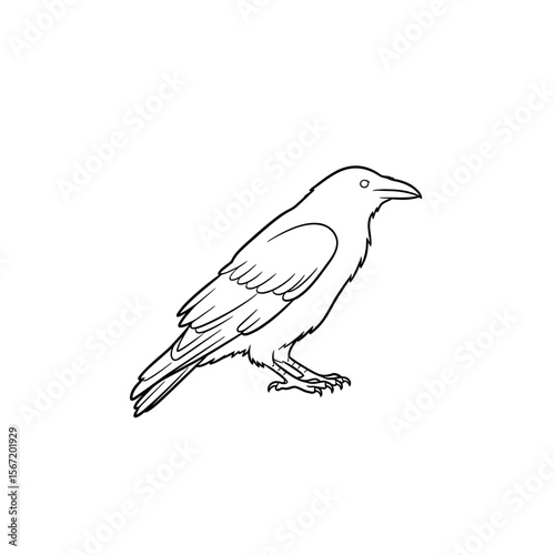 Black crow illustration in minimalistic style on white background  