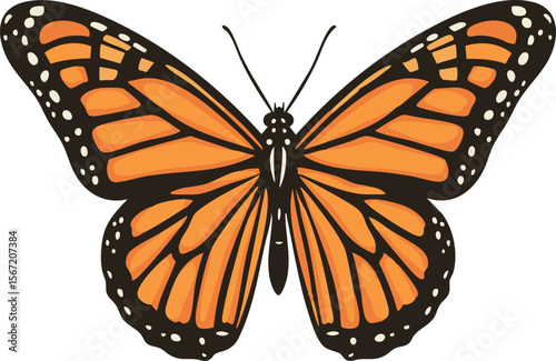 full-shot of a Monarch icon The background col