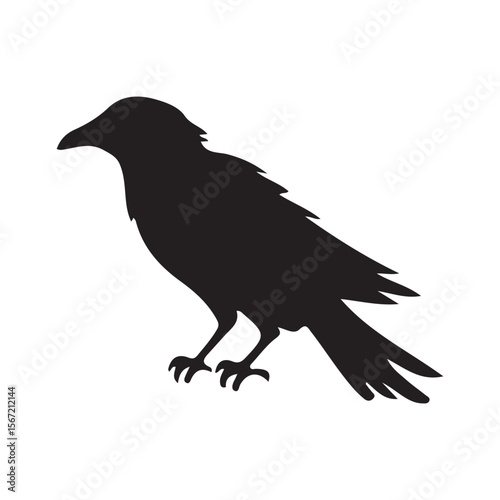 Crow Raven Silhouette Vector | Halloween Scary Bird Clipart Design