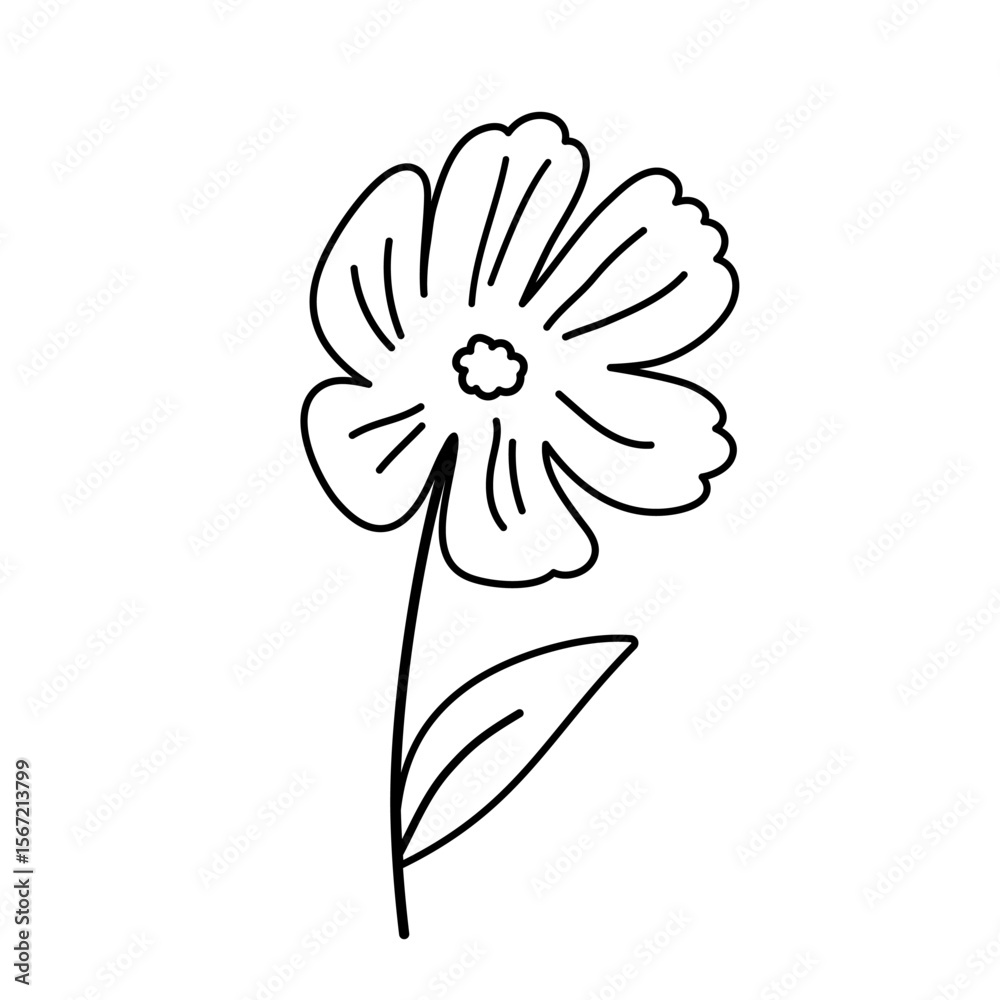Obraz premium Doodle vector flower contour symbol isolated on a transparent background