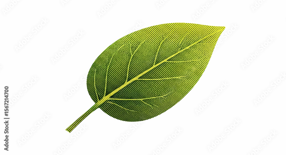 Obraz premium Minimalist Halftone Green Leaf with Glossy Texture and Prominent Veins