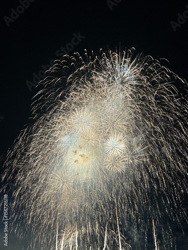 Spectacular Fireworks Display Lighting Up the Night Sky