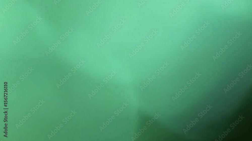 Abstract green background with smooth transitions and subtle light leaks